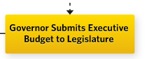 Governor Submits Executive Budget to Legislature